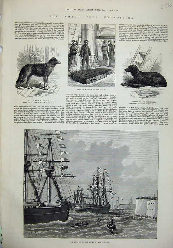 Old Antique Print 1876 North Pole Esquimaux Dog Alert Ship Portsmouth Sea 19th