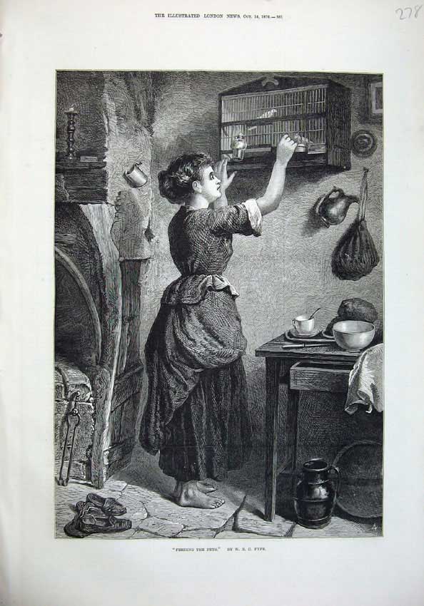 Old Antique Print 1876 Fine Art Women Feeding Pets Birds Cage House Fyfe 19th