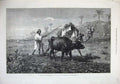 Old Antique Print 1876Fine Art Camel Cow Ploughing Field Man Egypt Beavis 19th