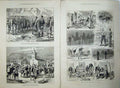 Original Old Antique Print 1876 War Ivanitza Alexinatz Horse Army Siers Ta Men