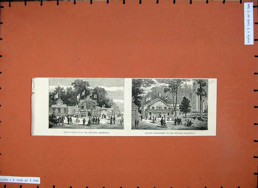 Original Old Antique Print 1876 Entrance Brussels Exhibition English Department