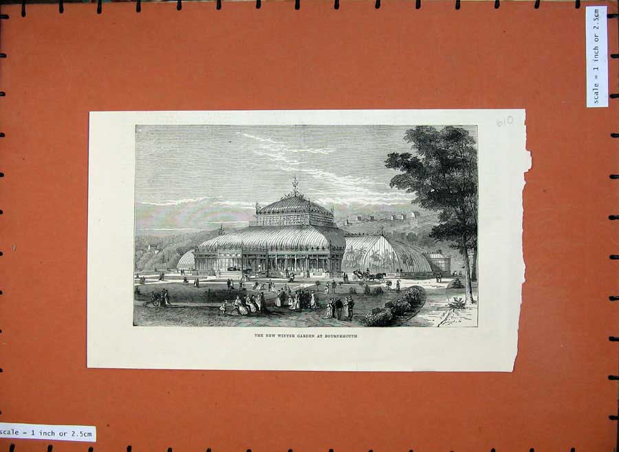 Original Old Antique Print 1876 Fine Art New Winter Garden Bournemouth England