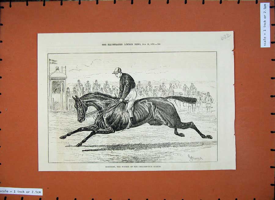 Original Old Antique Print 1876 Rosebery Horse Sport Racing Cesarewitch Stakes