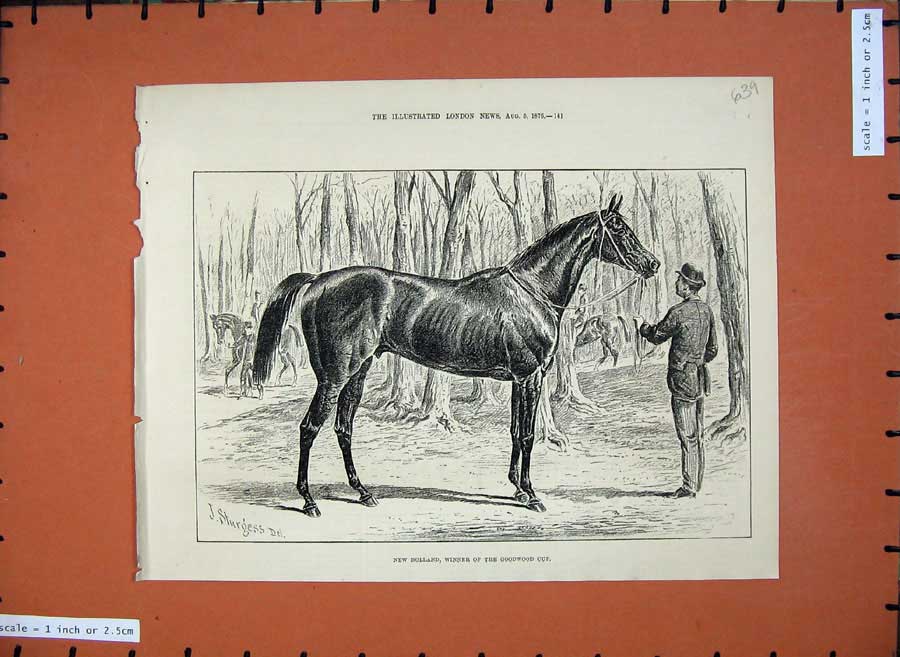 Original Old Antique Print 1876 Horse Racing Sport New Holland Goodwood Cup
