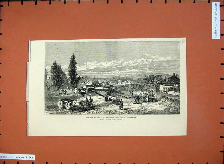 Old Antique Print 1876 War Belgrade Market Place Cattle Cart Houses Art 19th
