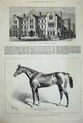 Old Antique Print 1877 Chamant Horse Newmarket London Hospital Children 19th