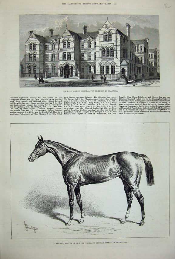 Old Antique Print 1877 Chamant Horse Newmarket London Hospital Children 19th