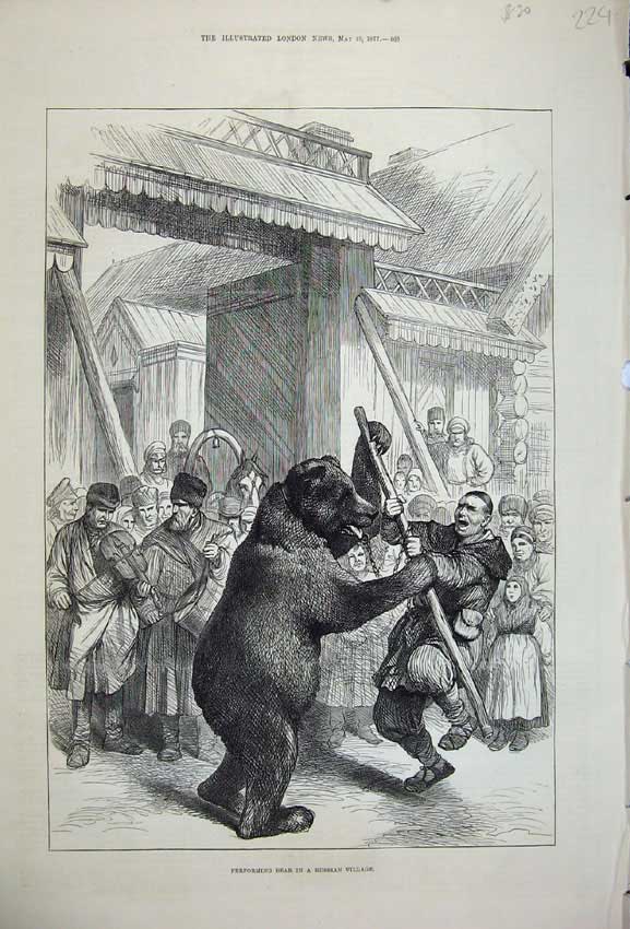 Old Antique Print 1877 Performing Bear Russian Village Animal People Man 19th