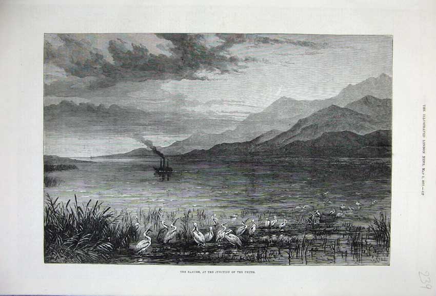 Old Antique Print 1877 Fine Art Danube Mountains Birds Pruth Steam Ship 19th