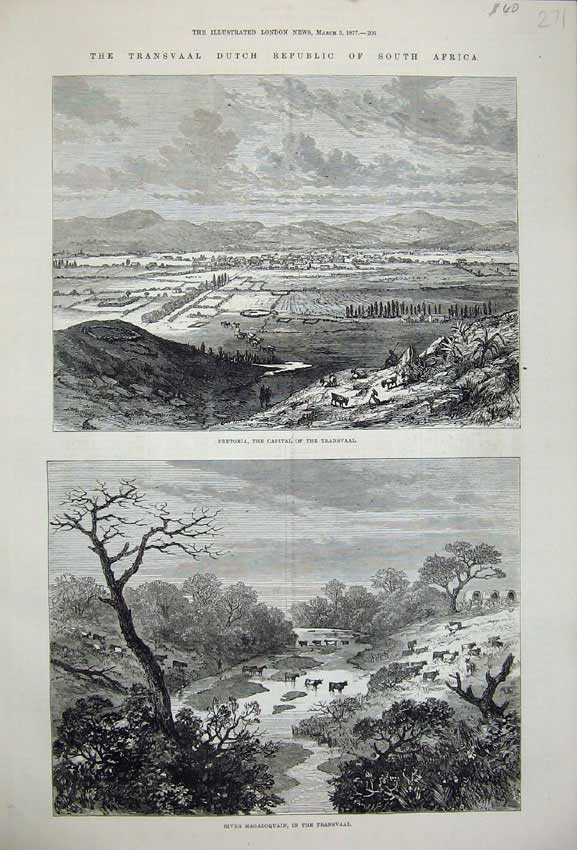 Old Antique Print 1877 Pretoria Transvaal River Magaloquain Cattle Horses 19th