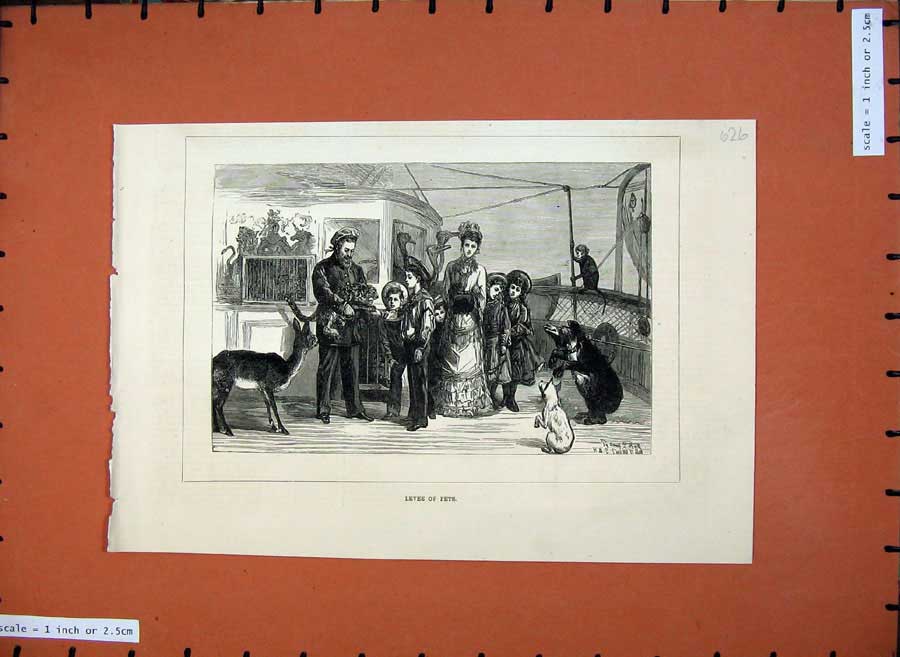 Old Antique Print 1877 Levee Pets Sailing Ship Animals Bear Children Art 19th