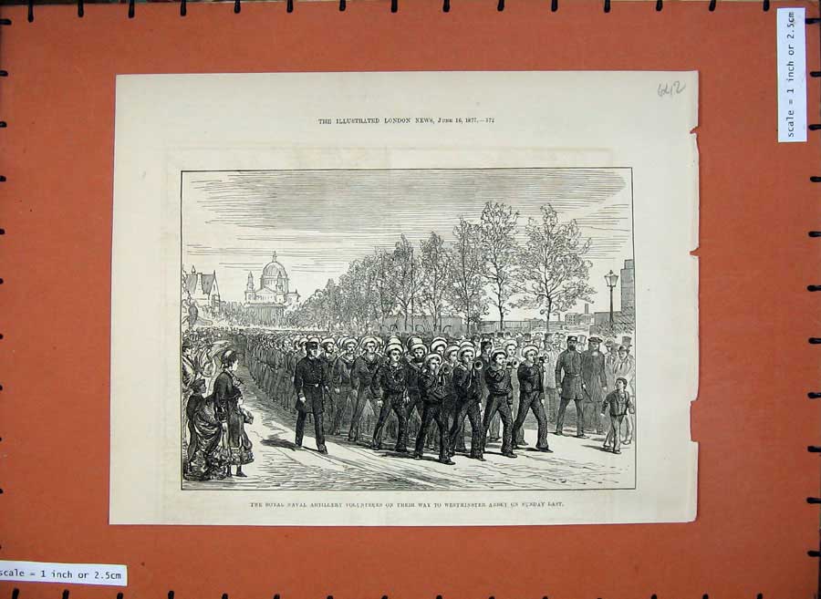 Old Antique Print 1877 Royal Navy Artillery Ta Volunteers Westminster War 19th