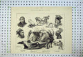 Old Antique Print 1877 Laplanders Royal Aquarium Westminster Arctic Fox 19th