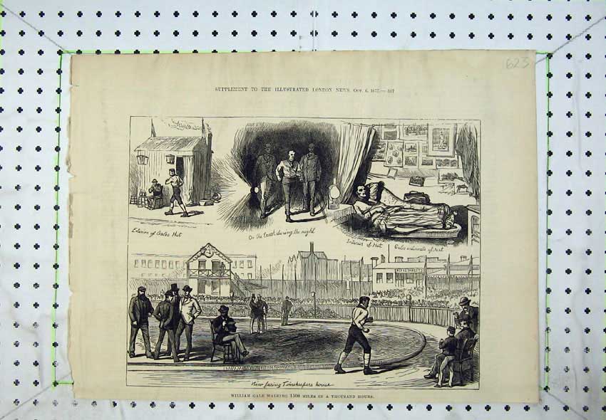 Original Old Antique Print 1877 William Gale Walking Sport Hut Track Bed 19th