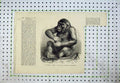 Original Old Antique Print 1877 Gorilla Pongo Royal Aquarium Westminster Ape