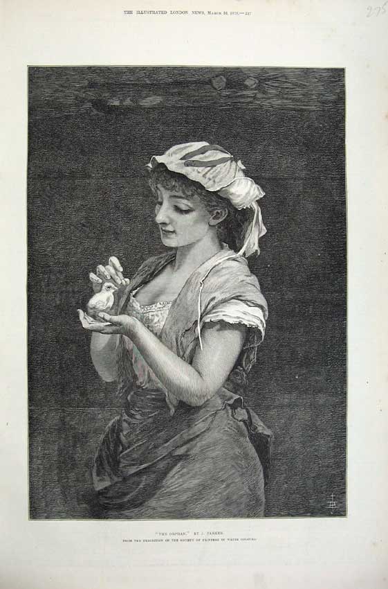 Original Old Antique Print 1878 Fine Art Portrait Orphan Young Girl Baby Bird