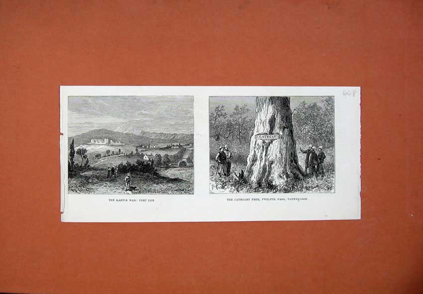 Original Old Antique Print Kaffir War 1878 Fort Cox Cathcart Tree Waterkloart
