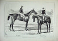 Old Antique Print 1879 Horses Winners Derby Oaks Wheel Fortune Sir Bevys 19th
