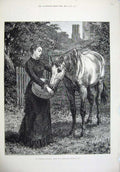 Original Old Antique Print 1879 Young Woman Feeding Horse Trees Fine Art 19th
