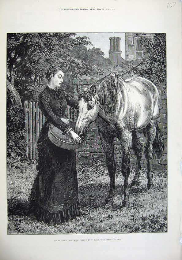 Original Old Antique Print 1879 Young Woman Feeding Horse Trees Fine Art 19th