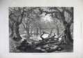 Original Old Antique Print 1879 River Thames Floods Home Park Windsor Fine Art