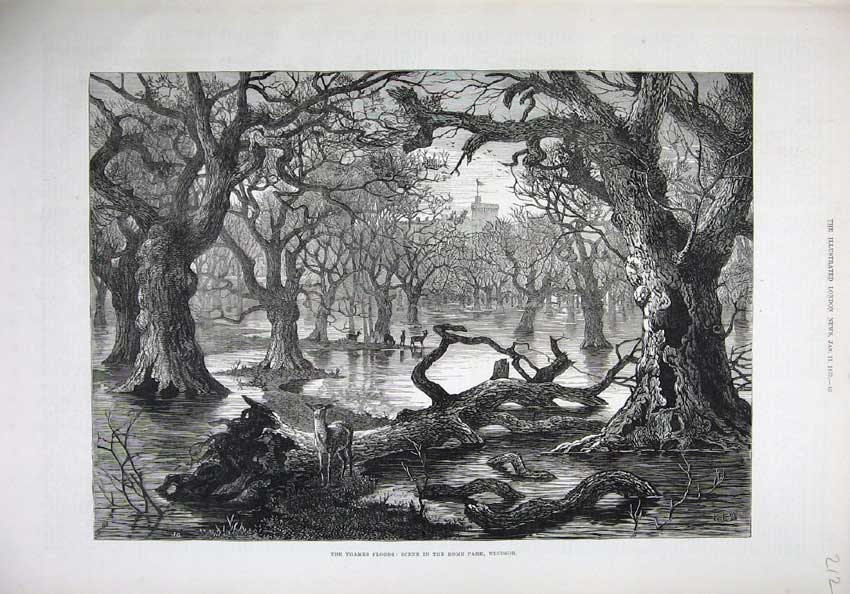 Original Old Antique Print 1879 River Thames Floods Home Park Windsor Fine Art
