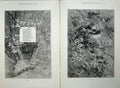 Old Antique Print 1879 Nature Singing Bird Trees Nest Country Song Words 19th