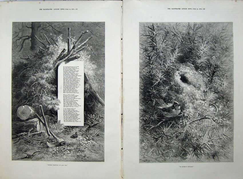Old Antique Print 1879 Song Words Humming Bird Nature Nest Country Art 19th