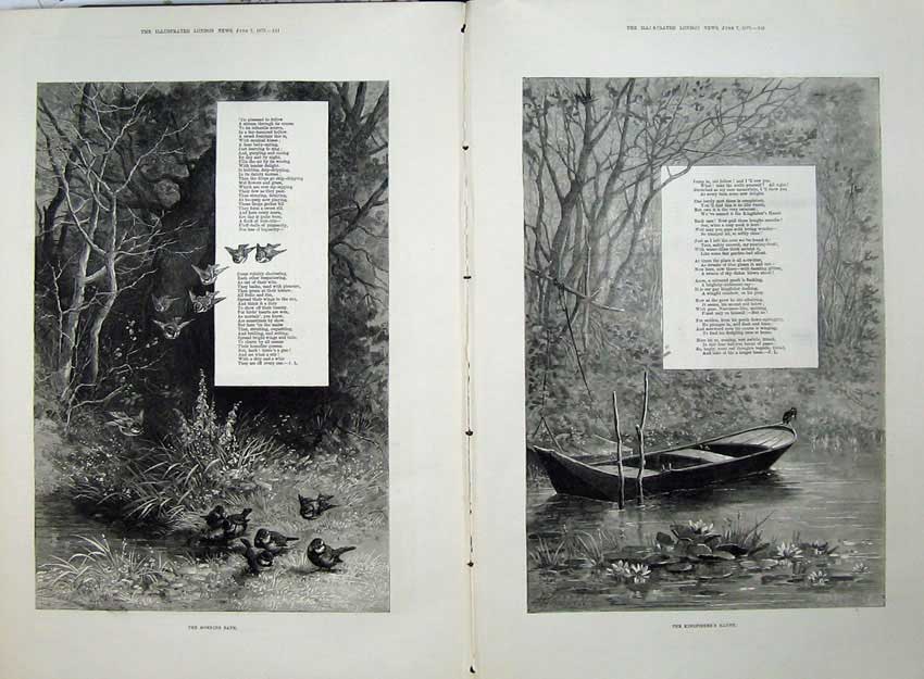 Antique Old Print 1879 Nature River Boat Birds Song Words Kingfisher Tree 19th