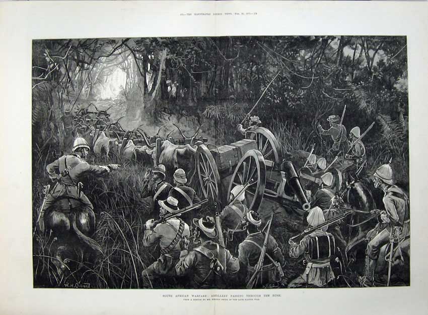 Antique Old Print Fine Art 1879 African Warfare Artillery Bush Cattle Men 19th