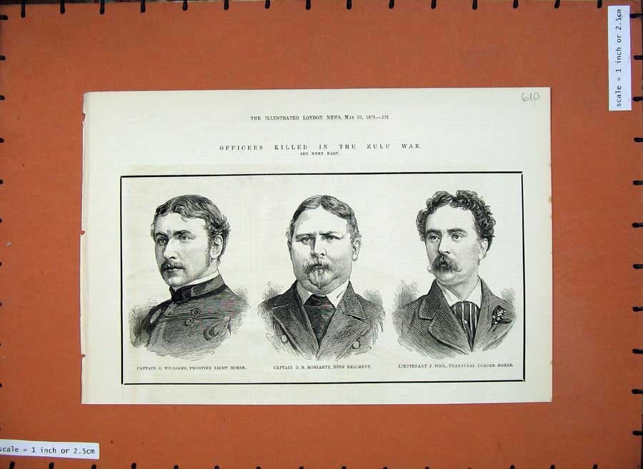 Original Old Antique Print Officers Zulu War 1879 Williams Moriarty Pool Horse