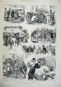 Old Antique Print 1879 Smithfield Club Cattle Show Pigs Ox Prince Wales 19th