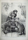 Original Old Antique Print 1879 Women Baby Bears Feeding Animals Beckmann 19th