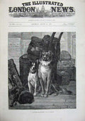 Original Old Antique Print 1879 Fine Art Puppy Dogs Ship Deck Luggage Animals