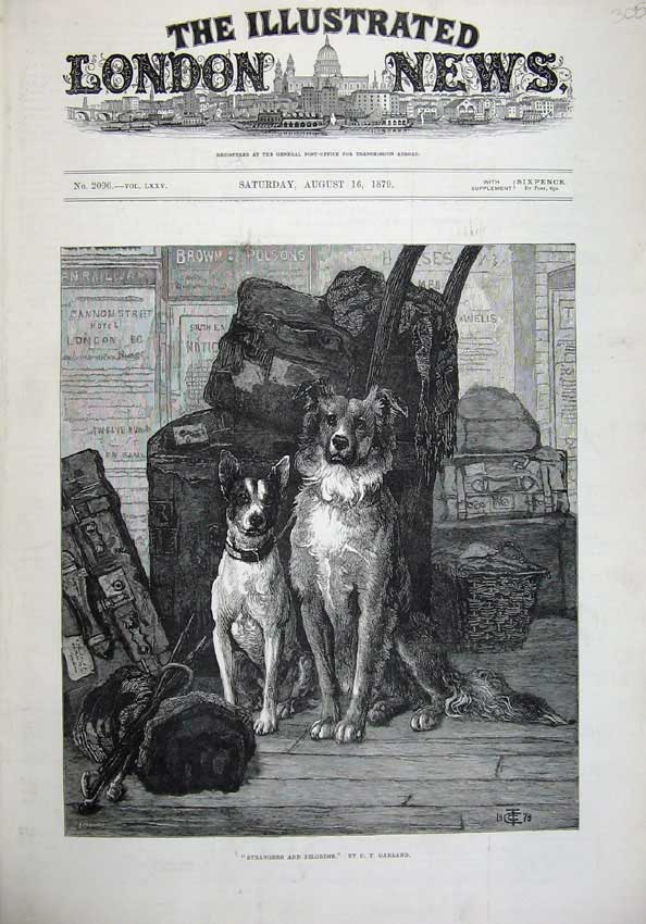 Original Old Antique Print 1879 Fine Art Puppy Dogs Ship Deck Luggage Animals