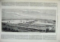 Original Old Antique Print 1879 Agricultural Show Yard London Kilburn Fine Art