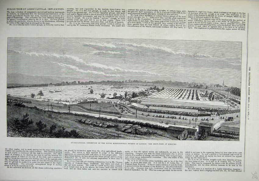 Original Old Antique Print 1879 Agricultural Show Yard London Kilburn Fine Art