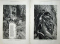 Original Old Antique Print Fine Art 1879 Nature Woodpeckers Tree Birds Nesting
