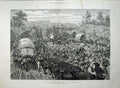 Old Antique Print 1879 Military Evacuation Zululand Road Block Cows Army 19th