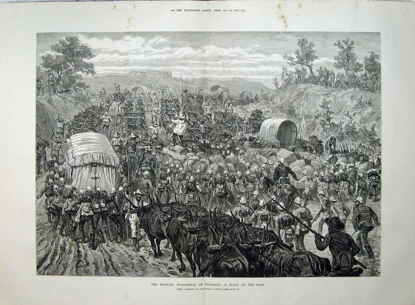 Old Antique Print 1879 Military Evacuation Zululand Road Block Cows Army 19th