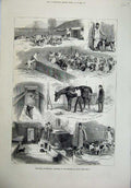 Old Antique Print 1880 Royal Buckhounds Kennels Ascot Dogs Horses Hounds 19th