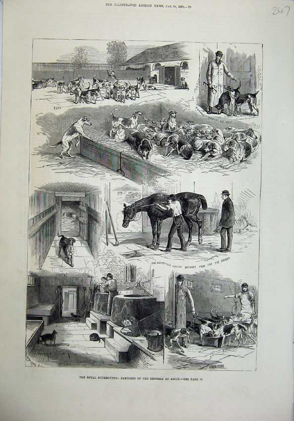 Old Antique Print 1880 Royal Buckhounds Kennels Ascot Dogs Horses Hounds 19th