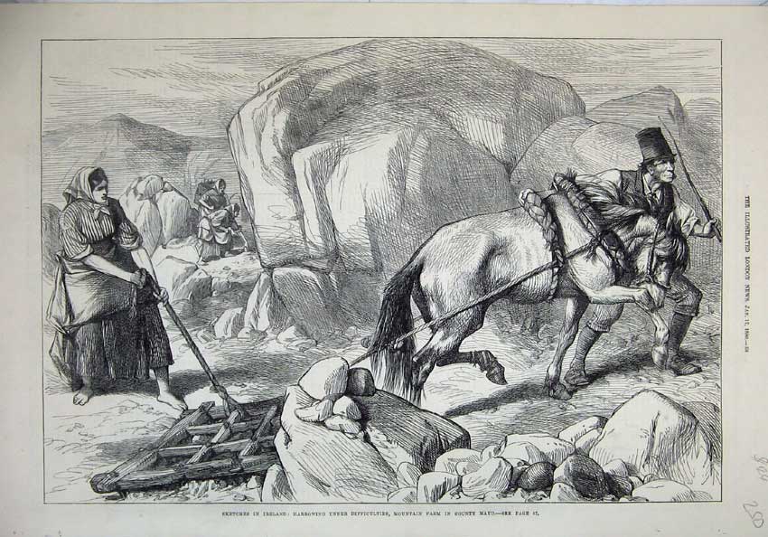 Old Antique Print 1880 Ireland Mountain Farm County Mayo Horse Harrowing 19th
