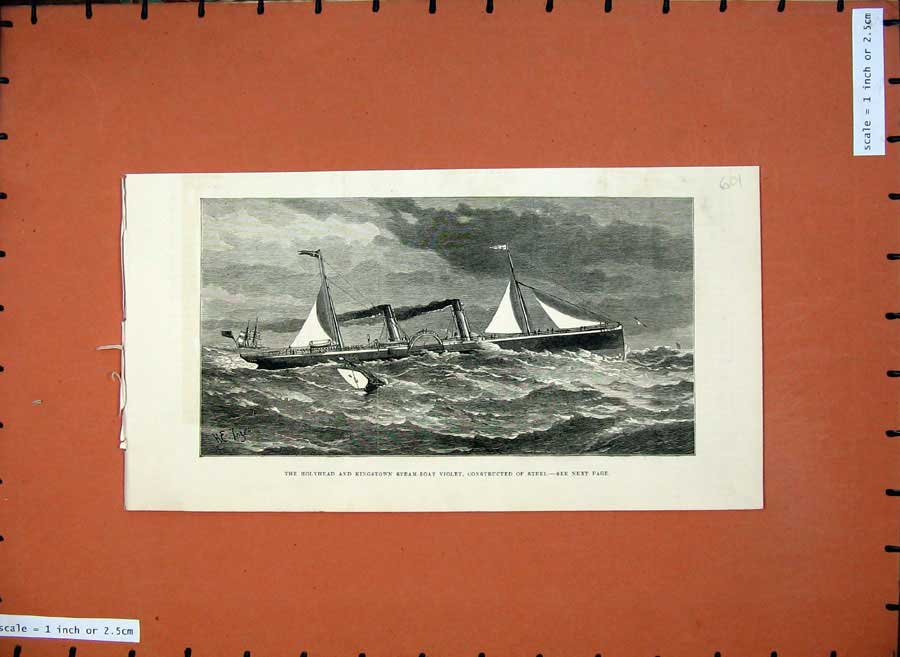 Original Old Antique Print 1880 Holyhead Kingstown Steel Steam Boat Violet Ship