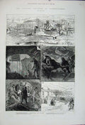 Old Antique Print 1880 Colliery Glamorganshire Pen-Y-Graig Men Mining Art 19th