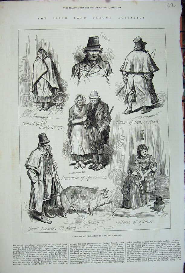 Old Antique Print 1880 Ireland League Agitation Farmers Peasant Girl Pigs 19th