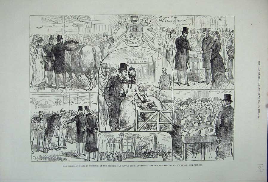 Old Antique Print 1880 Prince Wales Norfolk Fat Cattle Show Starch Mills 19th