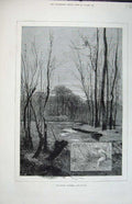 Old Antique Print 1880 Country Scene November Autumn Trees Lake Fine Art 19th