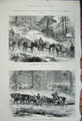 Old Antique Print 1880 Colorado Mining America Mules Hauling Logs Cattle 19th