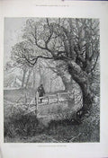 Original Old Antique Print 1880 Fine Art Country Autumn Leaves Trees Man Bridge